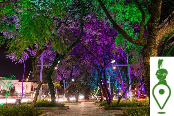 La vida nocturna de Guadalajara: Bares, clubs y lugares para disfrutar de la noche